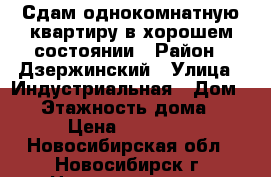 Сдам однокомнатную квартиру в хорошем состоянии › Район ­ Дзержинский › Улица ­ Индустриальная › Дом ­ 4 › Этажность дома ­ 5 › Цена ­ 13 000 - Новосибирская обл., Новосибирск г. Недвижимость » Квартиры аренда   . Новосибирская обл.,Новосибирск г.